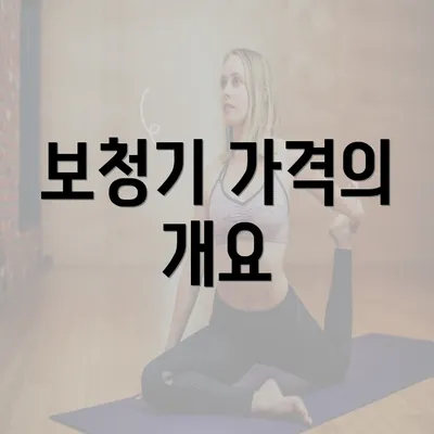 보청기 가격의 개요