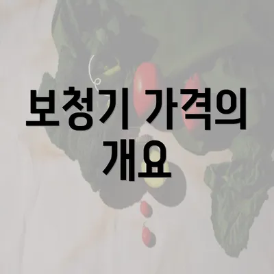 보청기 가격의 개요