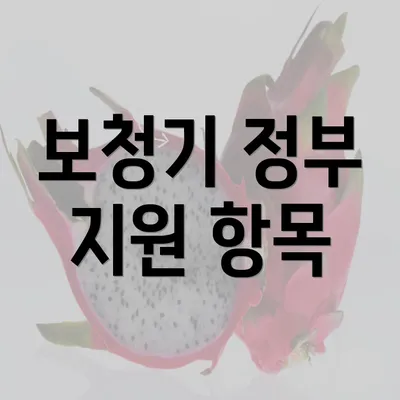 보청기 정부 지원 항목