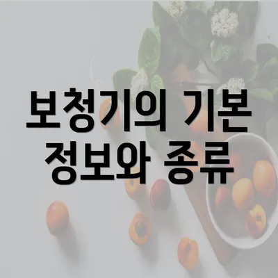 보청기의 기본 정보와 종류