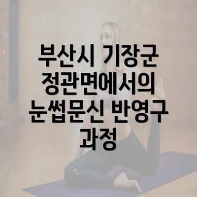 부산시 기장군 정관면에서의 눈썹문신 반영구 과정