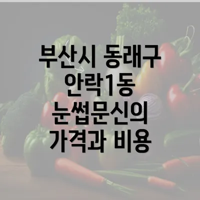 부산시 동래구 안락1동 눈썹문신의 가격과 비용