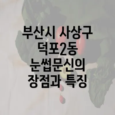 부산시 사상구 덕포2동 눈썹문신의 장점과 특징