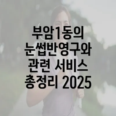 부암1동의 눈썹반영구와 관련 서비스 총정리 2025