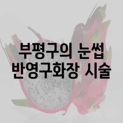 부평구의 눈썹 반영구화장 시술