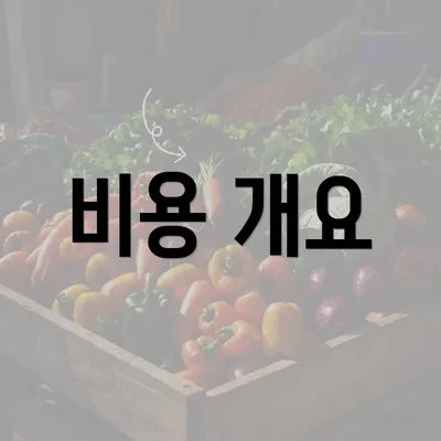 비용 개요