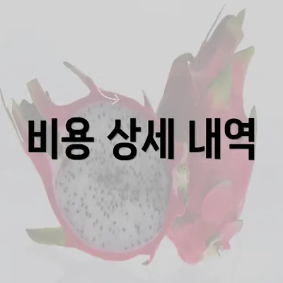 비용 상세 내역