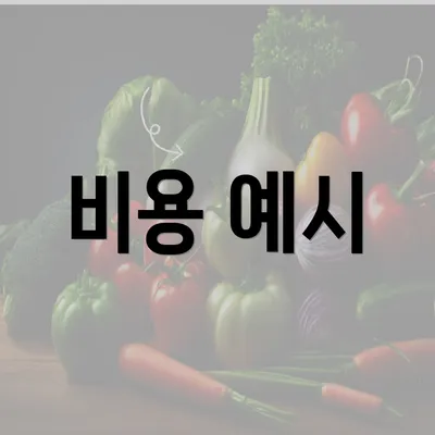 비용 예시