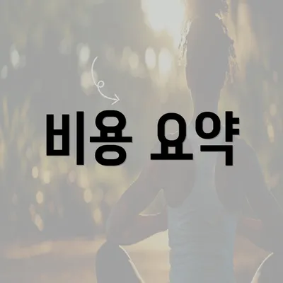 비용 요약