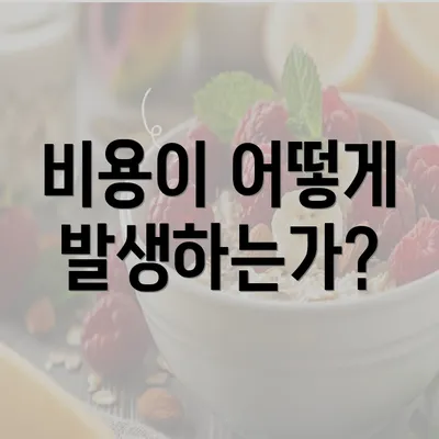 비용이 어떻게 발생하는가?