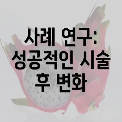 사례 연구: 성공적인 시술 후 변화