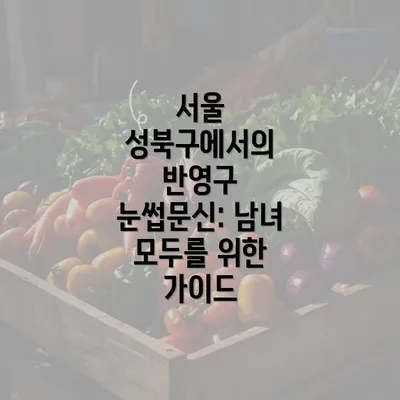 서울 성북구에서의 반영구 눈썹문신: 남녀 모두를 위한 가이드