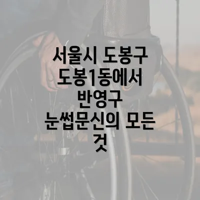 서울시 도봉구 도봉1동에서 반영구 눈썹문신의 모든 것