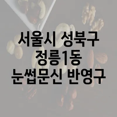 서울시 성북구 정릉1동 눈썹문신 반영구