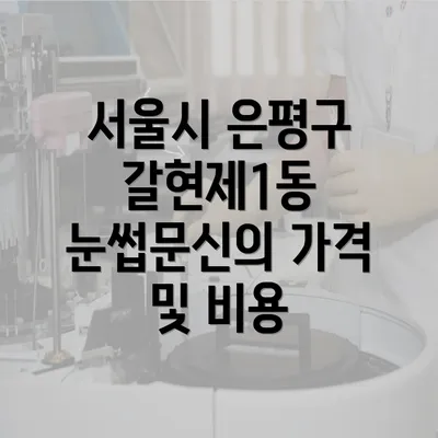 서울시 은평구 갈현제1동 눈썹문신의 가격 및 비용