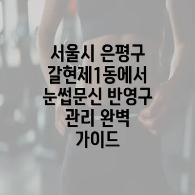 서울시 은평구 갈현제1동에서 눈썹문신 반영구 관리 완벽 가이드