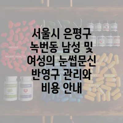 서울시 은평구 녹번동 남성 및 여성의 눈썹문신 반영구 관리와 비용 안내