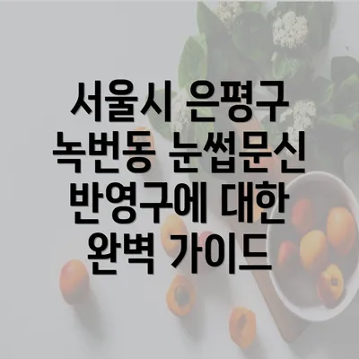 서울시 은평구 녹번동 눈썹문신 후기 및 사례