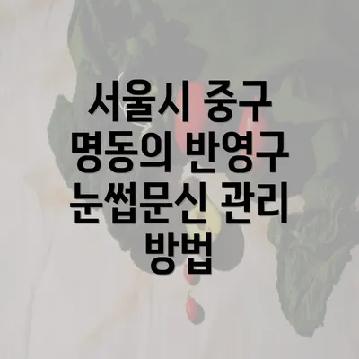 서울시 중구 명동의 반영구 눈썹문신 관리 방법