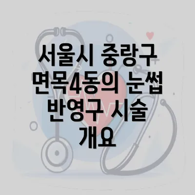 서울시 중랑구 면목4동의 눈썹 반영구 시술 개요