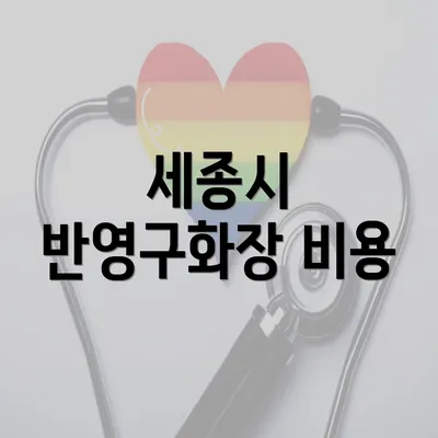 세종시 반영구화장 비용