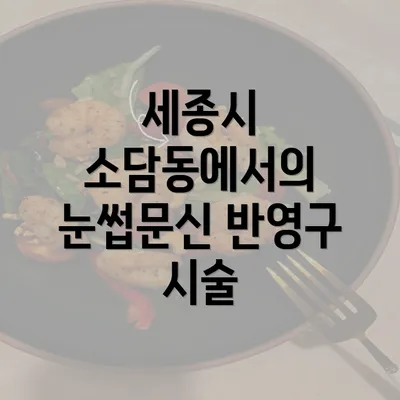 세종시 소담동에서의 눈썹문신 반영구 시술