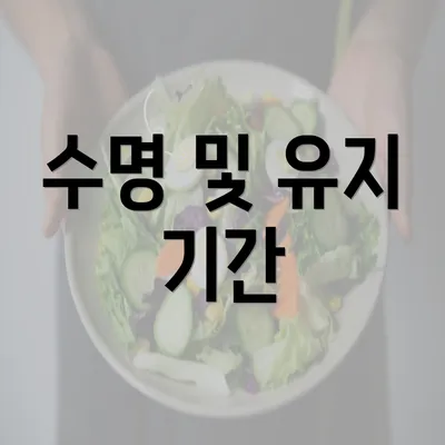 수명 및 유지 기간