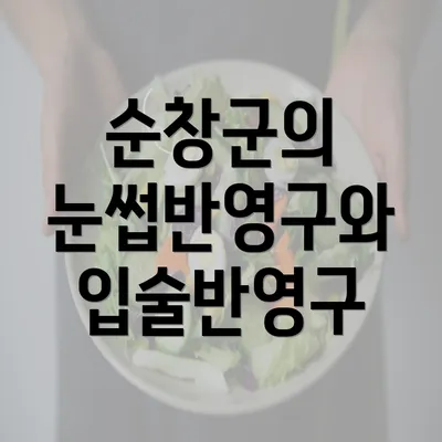 순창군의 눈썹반영구와 입술반영구