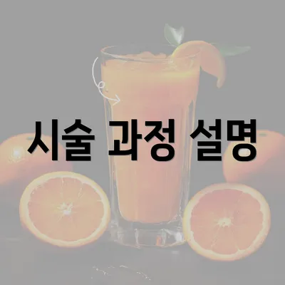 시술 과정 설명