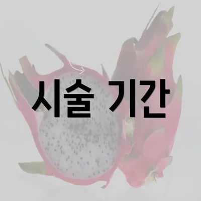 시술 기간