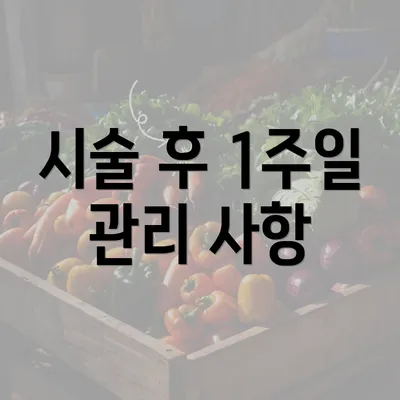 시술 후 1주일 관리 사항