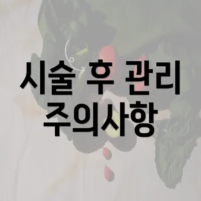 시술 후 관리 주의사항