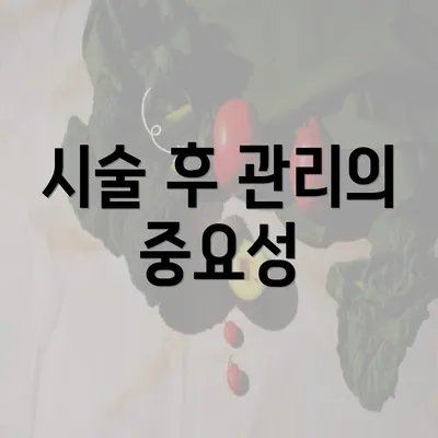 시술 후 관리의 중요성