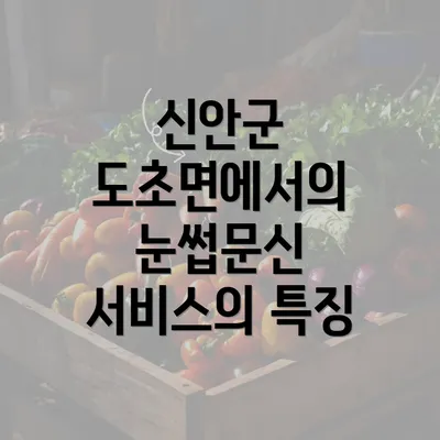 신안군 도초면에서의 눈썹문신 서비스의 특징