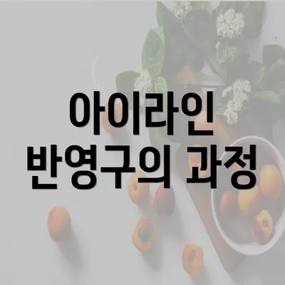 아이라인 반영구의 과정