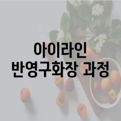 아이라인 반영구화장 과정