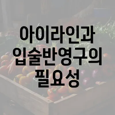 아이라인과 입술반영구의 필요성