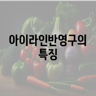 아이라인반영구의 특징