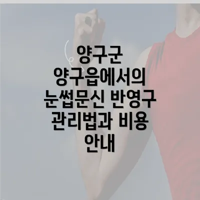 양구군 양구읍에서의 눈썹문신 반영구 관리법과 비용 안내