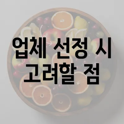 업체 선정 시 고려할 점