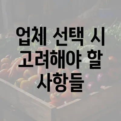 업체 선택 시 고려해야 할 사항들