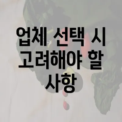 업체 선택 시 고려해야 할 사항