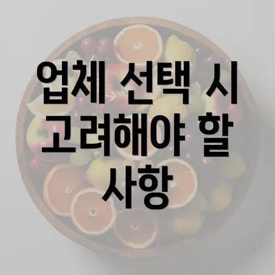 업체 선택 시 고려해야 할 사항