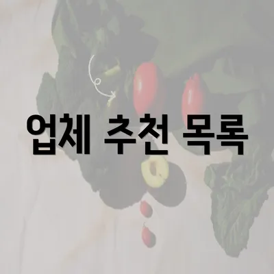 업체 추천 목록