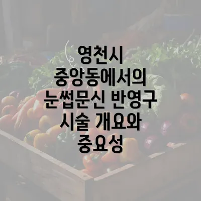 영천시 중앙동에서의 눈썹문신 반영구 시술 개요와 중요성