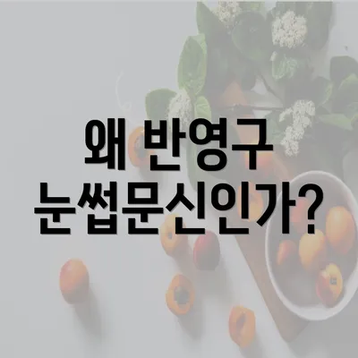 왜 반영구 눈썹문신인가?