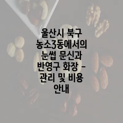 울산시 북구 농소3동에서의 눈썹 문신과 반영구 화장 - 관리 및 비용 안내