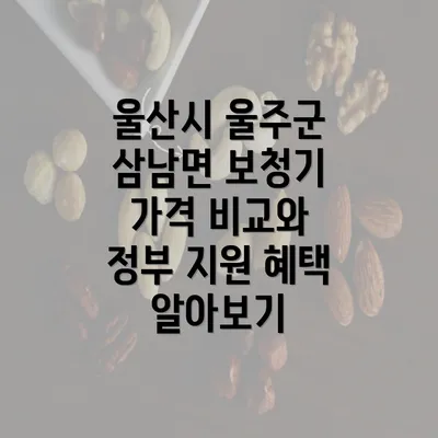 울산시 울주군 삼남면 보청기 가격 비교와 정부 지원 혜택 알아보기