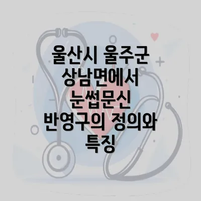 울산시 울주군 상남면에서 눈썹문신 반영구의 정의와 특징