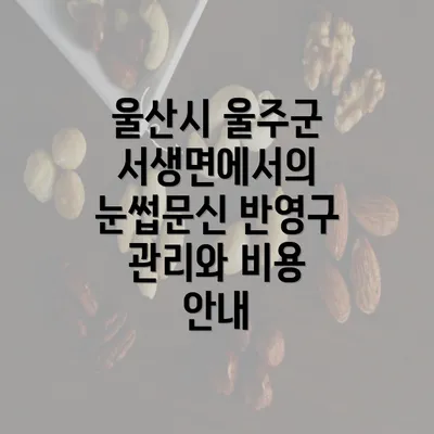 울산시 울주군 서생면에서의 눈썹문신 반영구 관리와 비용 안내